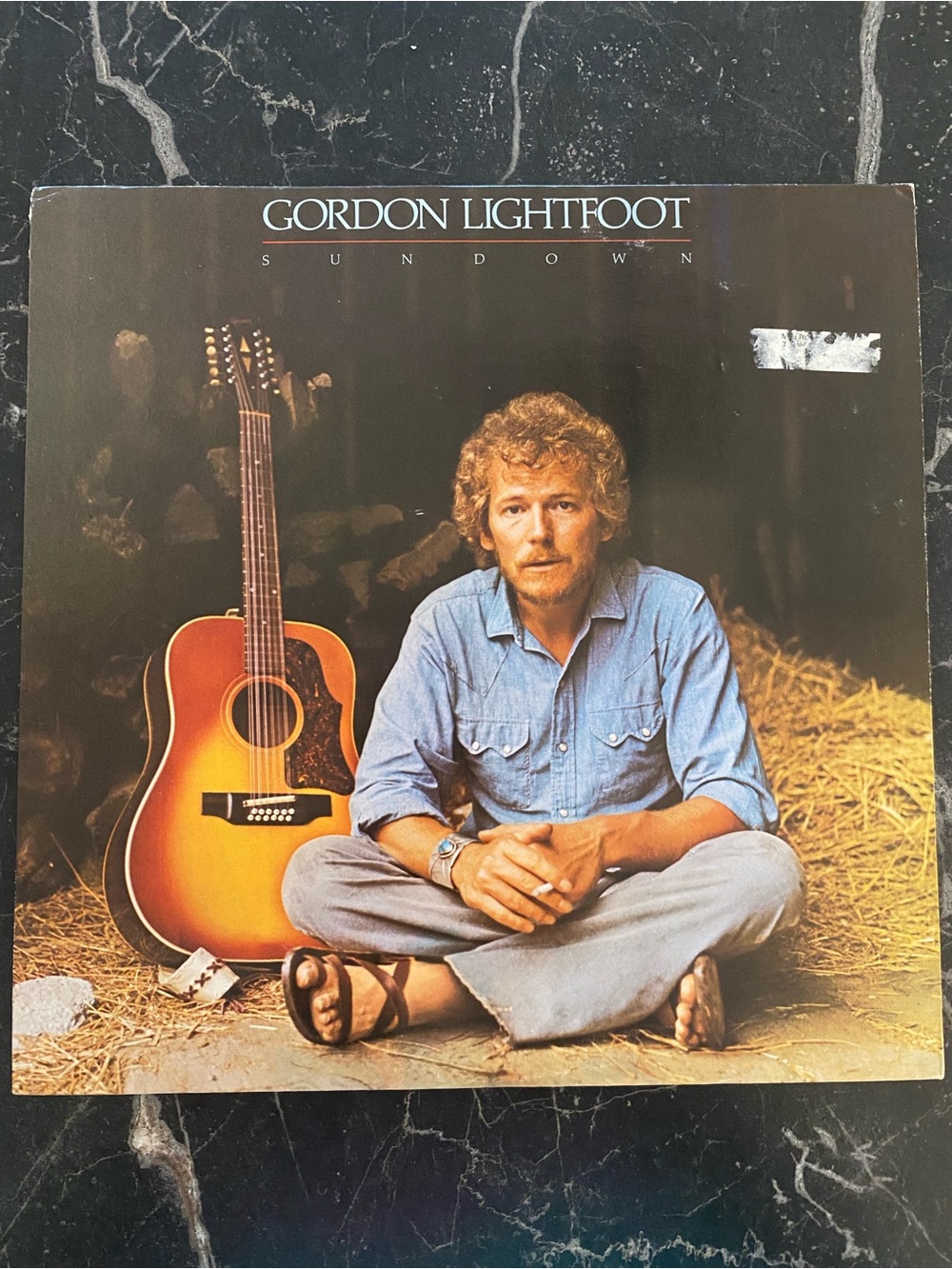 Gordon Lightfoot Vinyl - Sundown